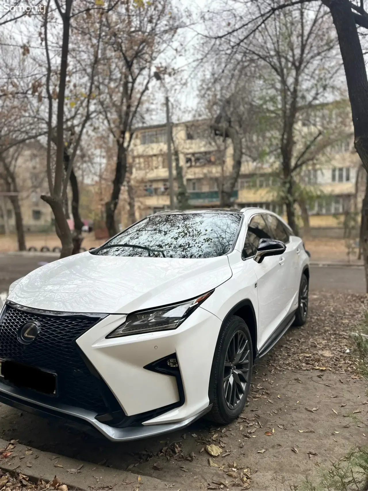 Lexus RX series 2019 · 4.5 AT