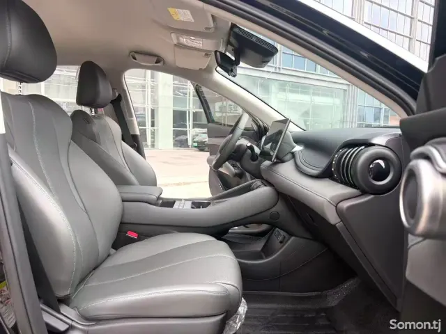 BYD Yuan Plus 2025 · AT