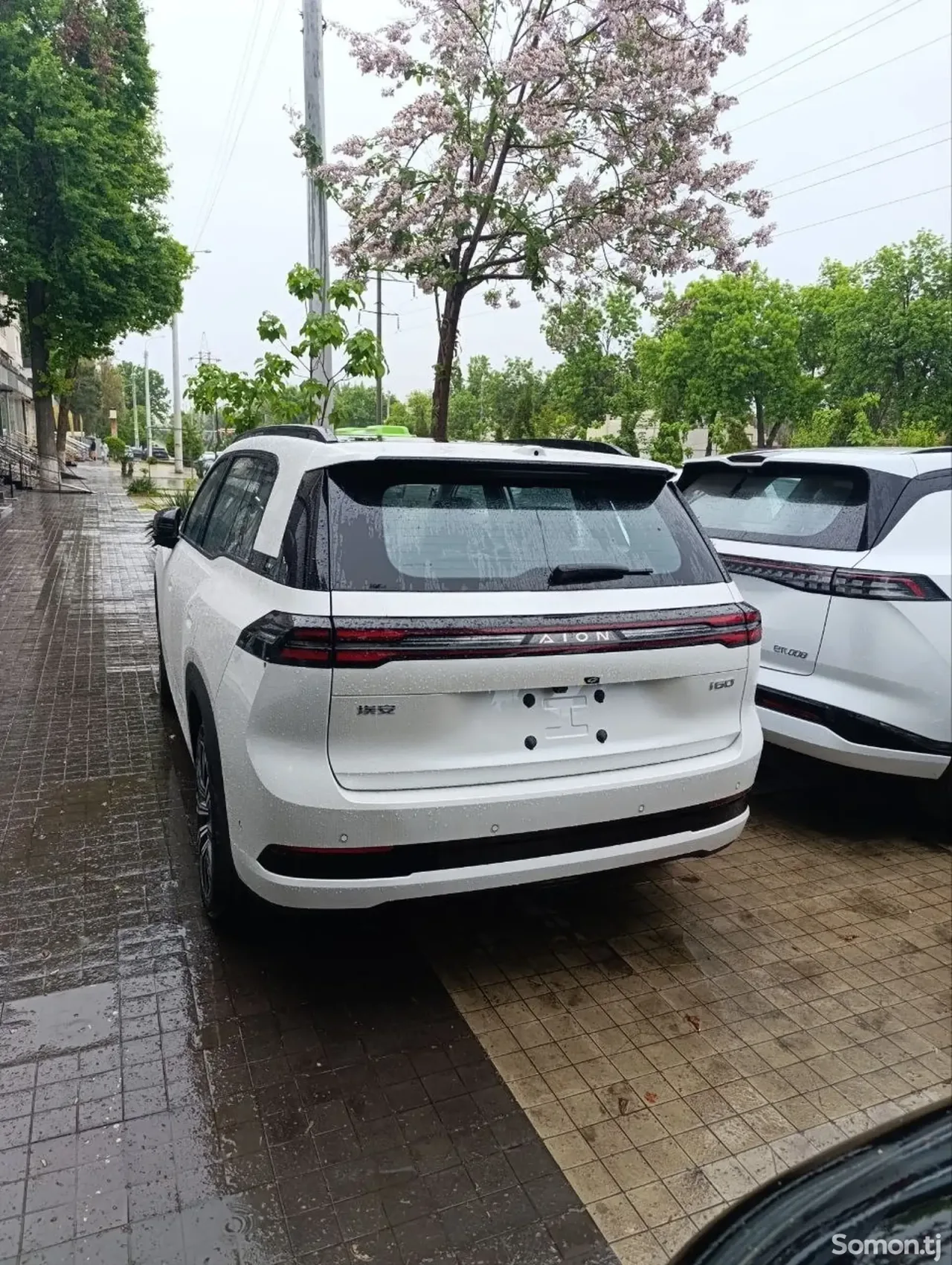 BYD Song Plus 2026 · 2.0 AT