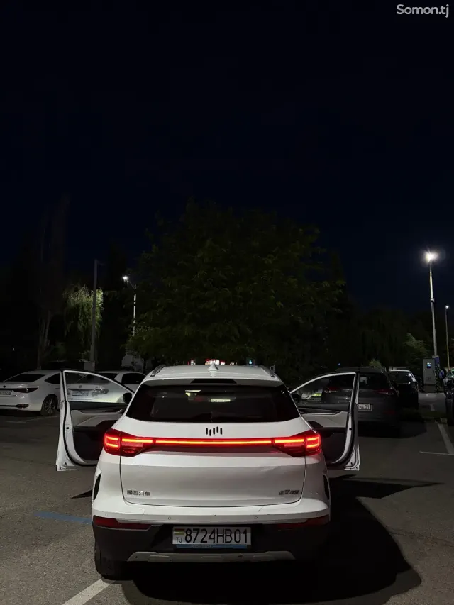 Weltmeister EX5 2019 · AMT