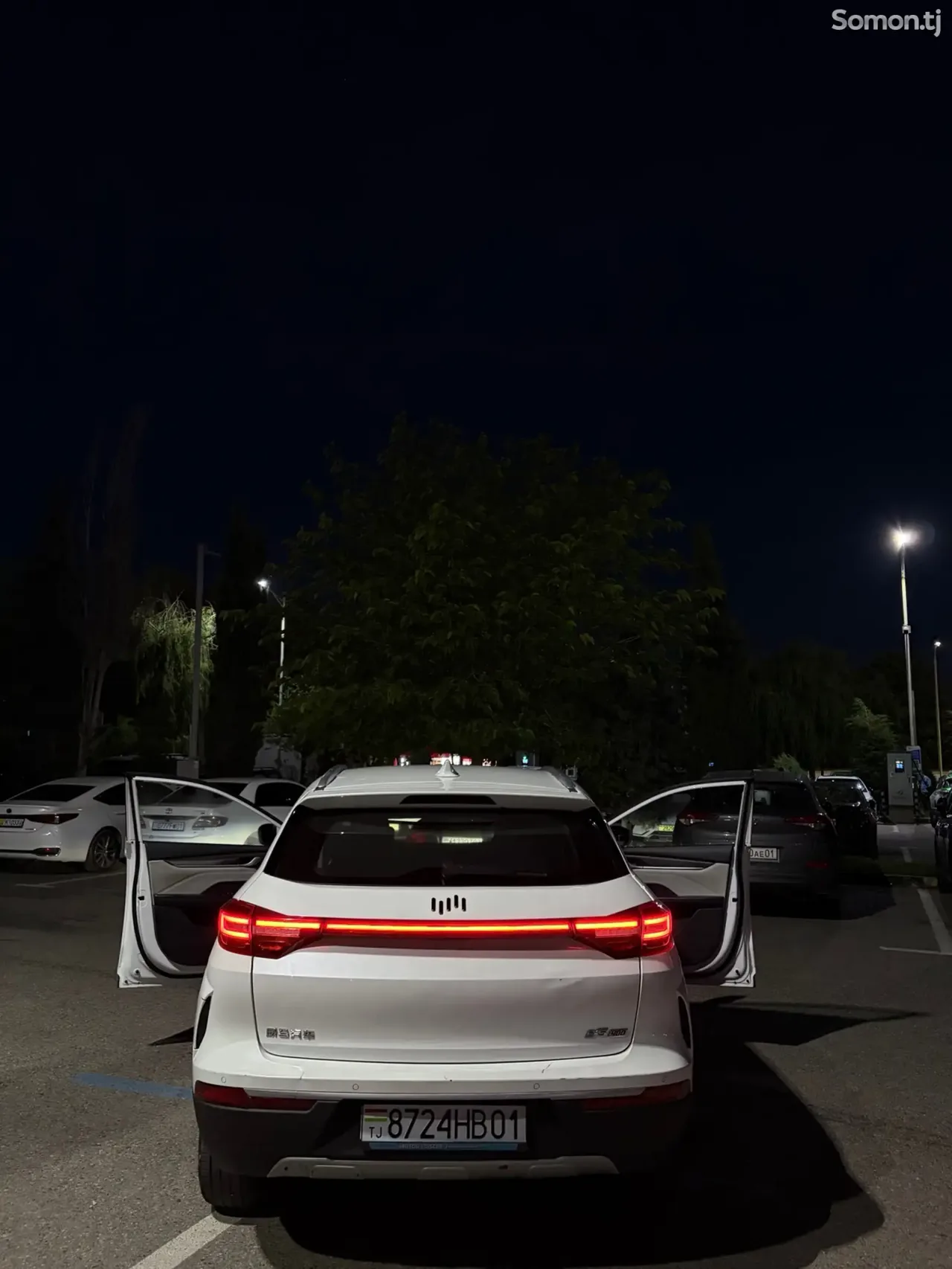 Weltmeister EX5 2019 · AMT