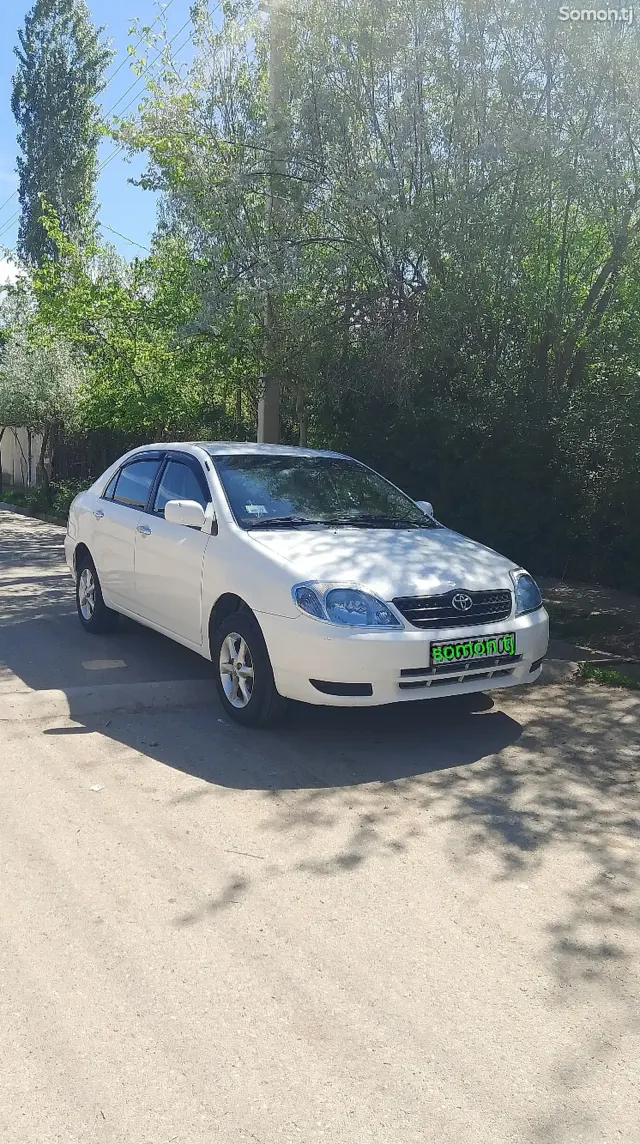 Toyota Corolla 2001 · 1.4 AT