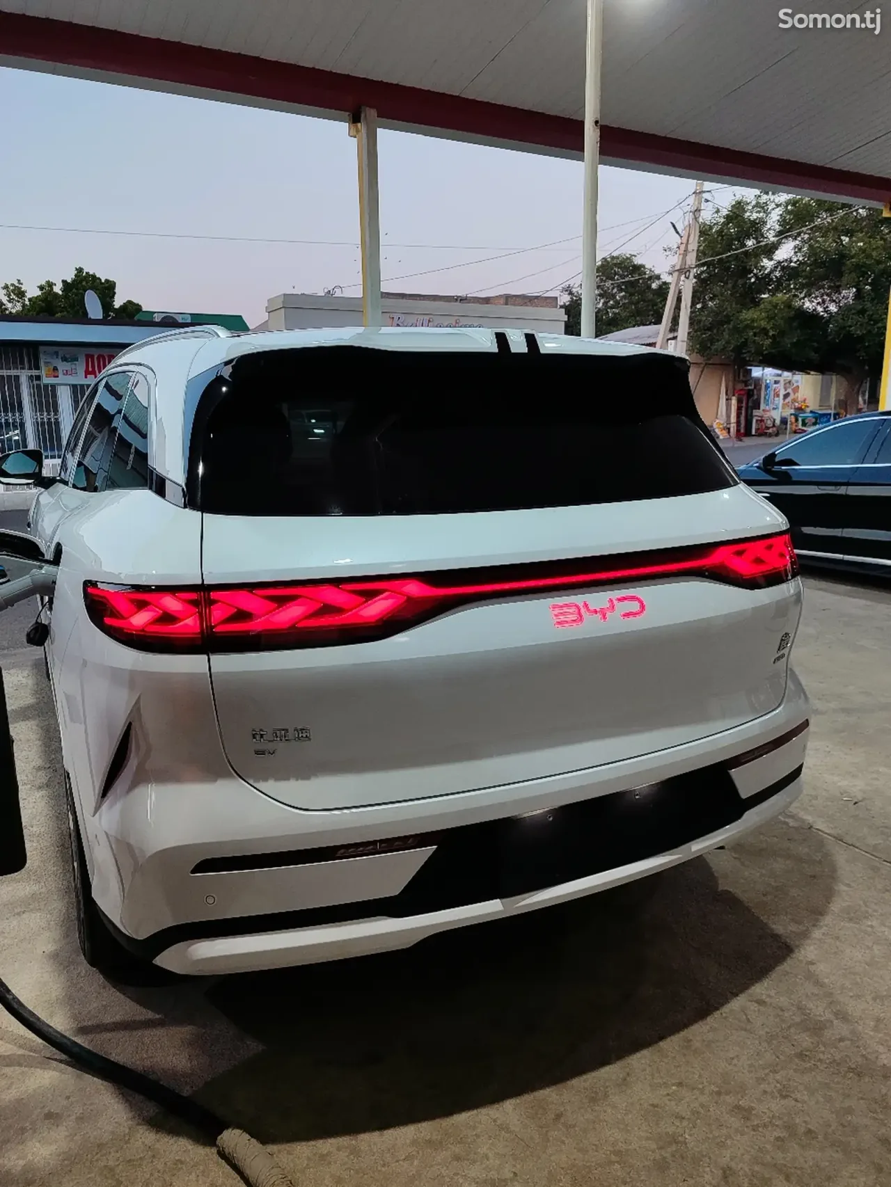 BYD Tang 2025 · AMT