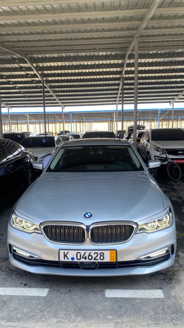 BMW 5 series 2019 · 2.0 AT