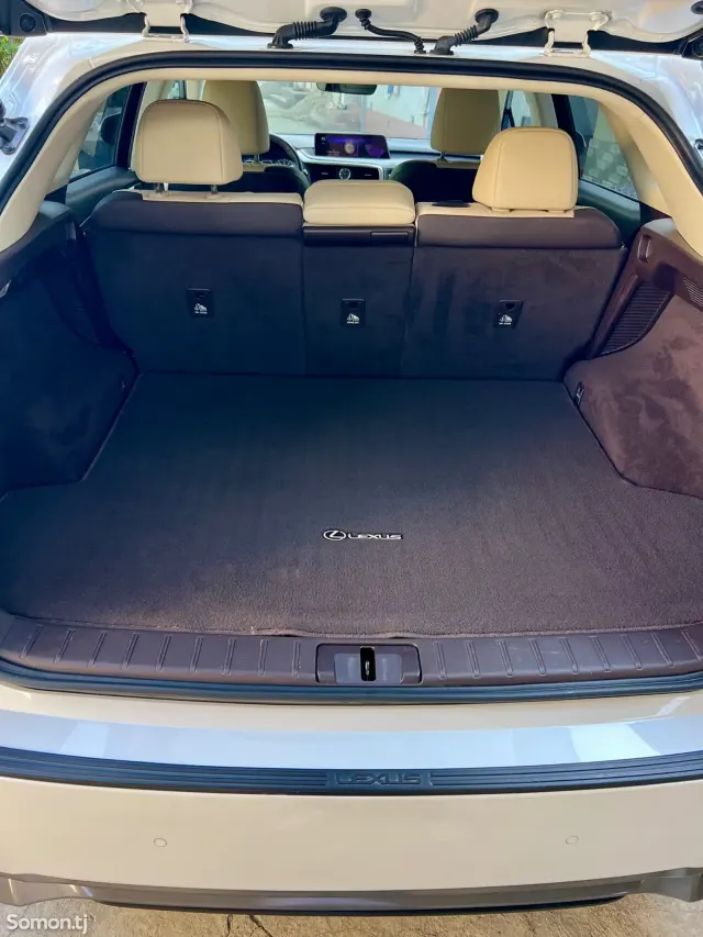 Lexus RX series 2018 · 4.5 AT