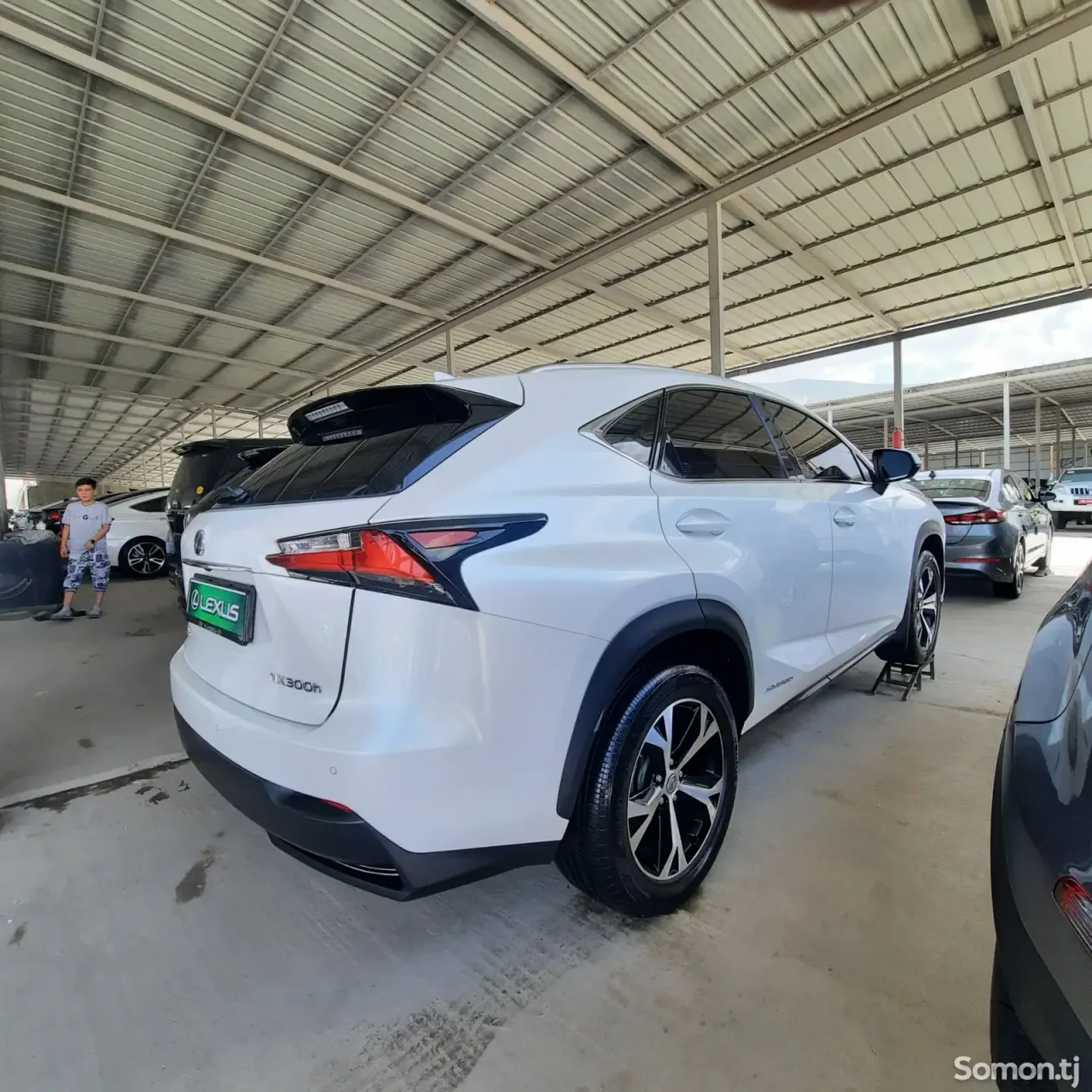 Lexus NX series 2016 · 3.0 AT