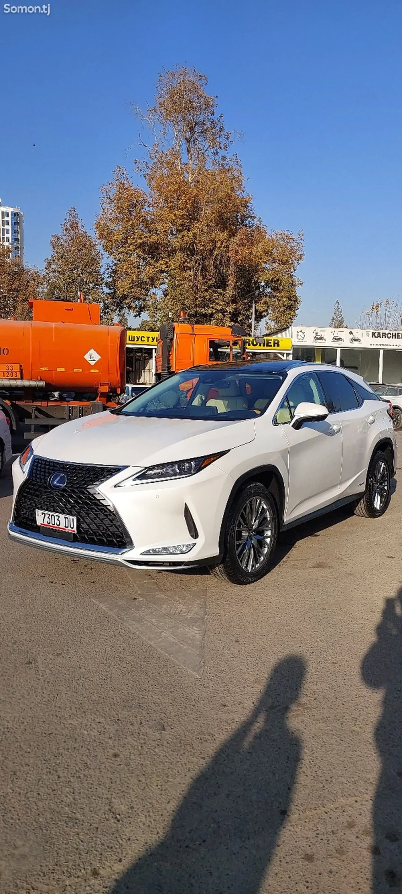 Lexus RX series 2022 · 4.5 AT