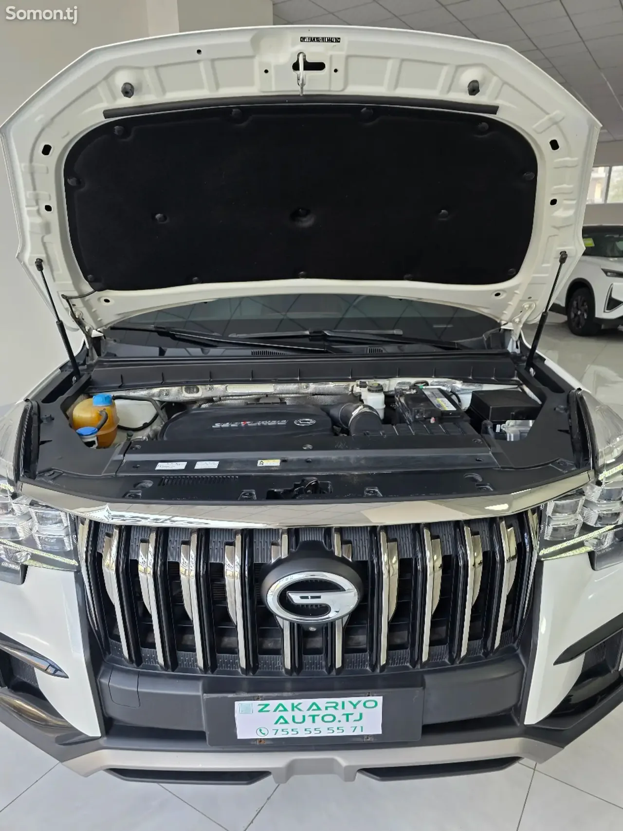 GAC Trumpchi GS8 2020 · 2.0 AT
