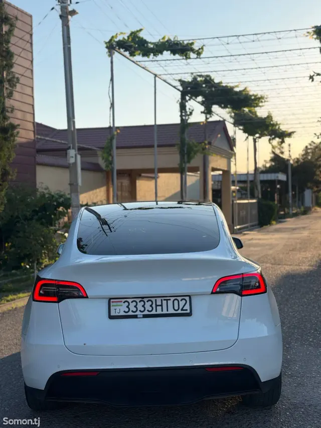 Tesla Model Y 2021 · AT