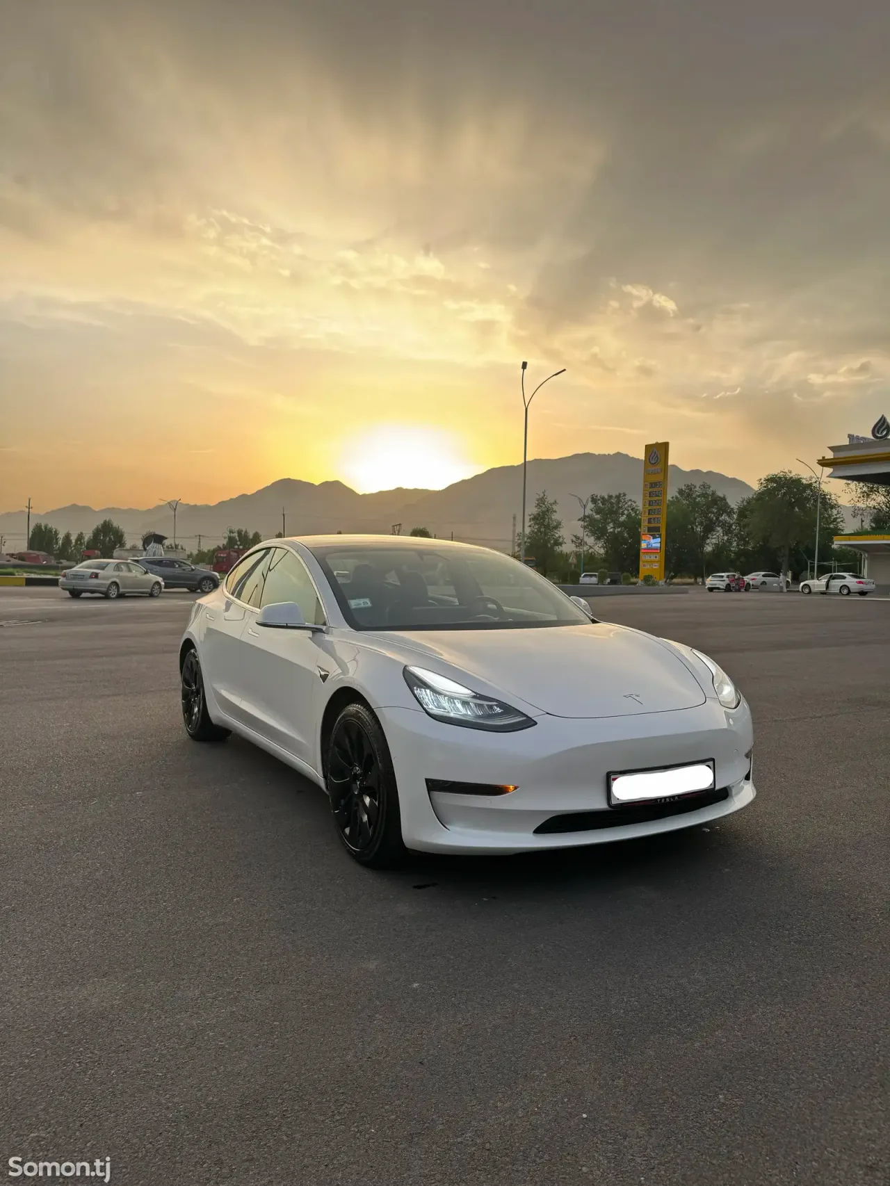 Tesla Model 3 2021 · AT