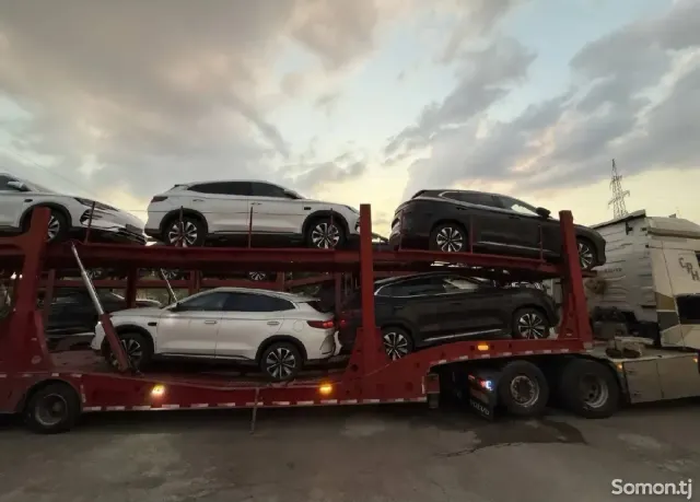 BYD Song Plus 2025 · AMT