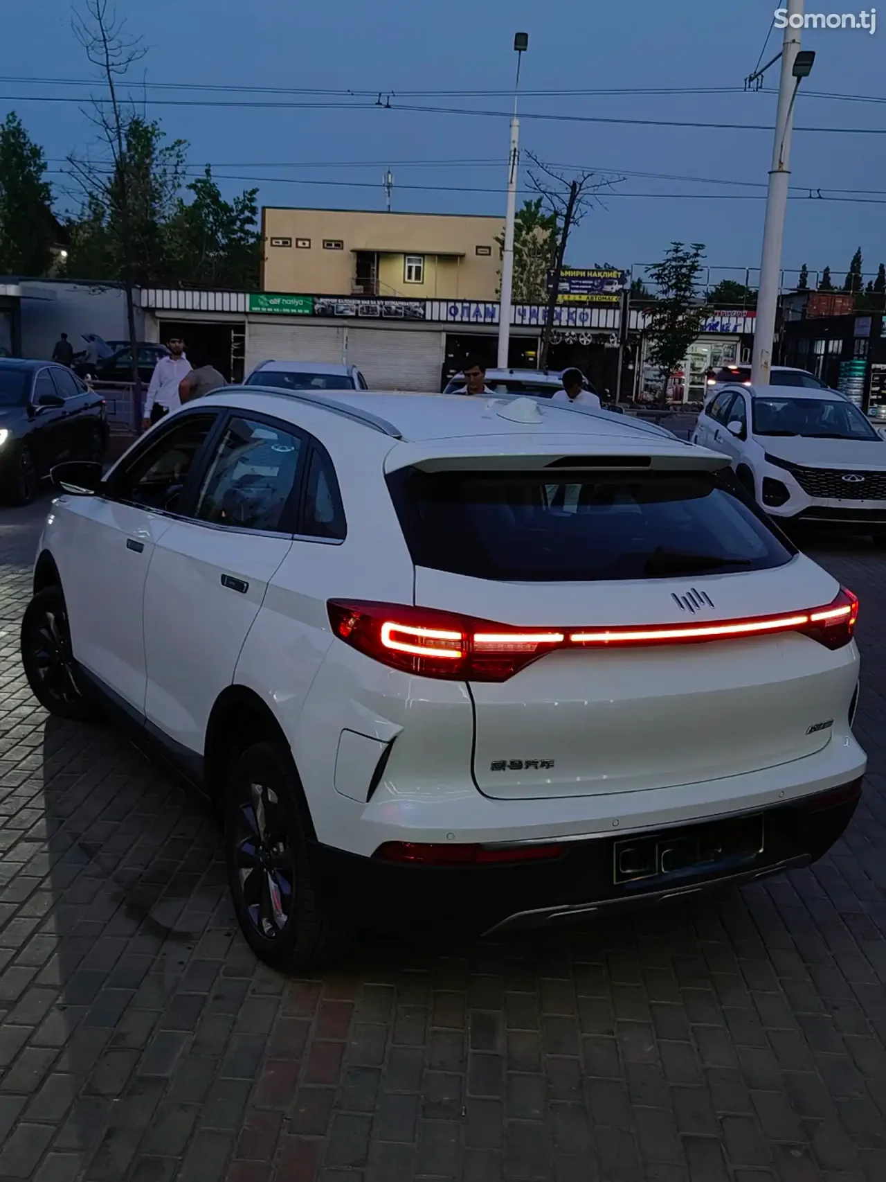 Weltmeister EX5 2019 · AT