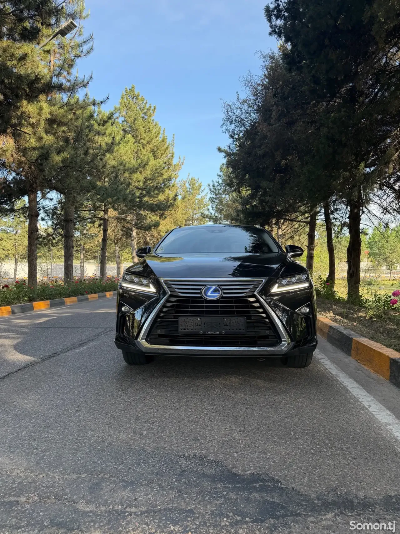 Lexus RX series 2017 · 3.5 AT