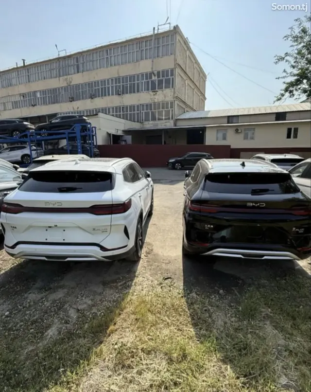 BYD Song Plus 2025 · AMT