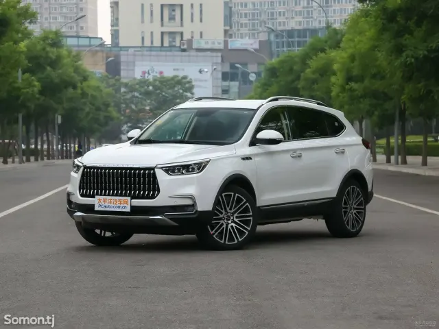 Leopaard Mattu 2019 · 2.0 AT