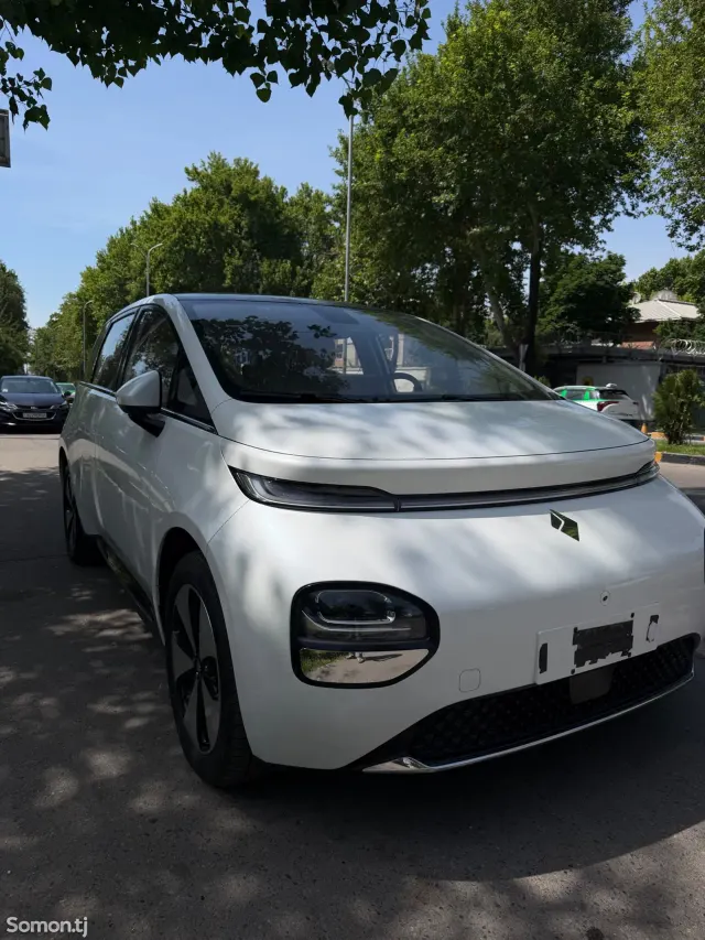 Другие марки Другая модель 2024 · AT