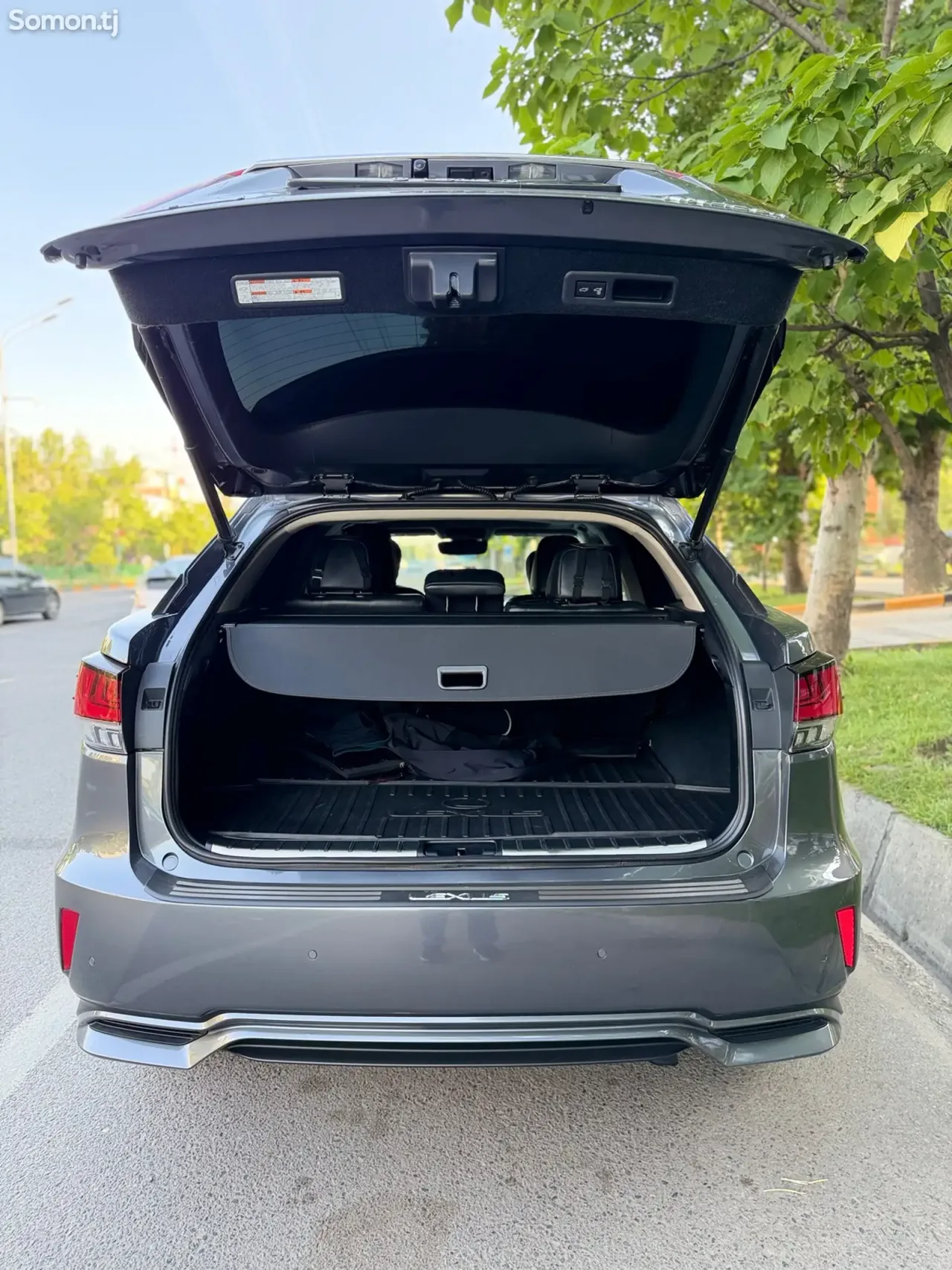 Lexus RX series 2022 · 4.5 AT