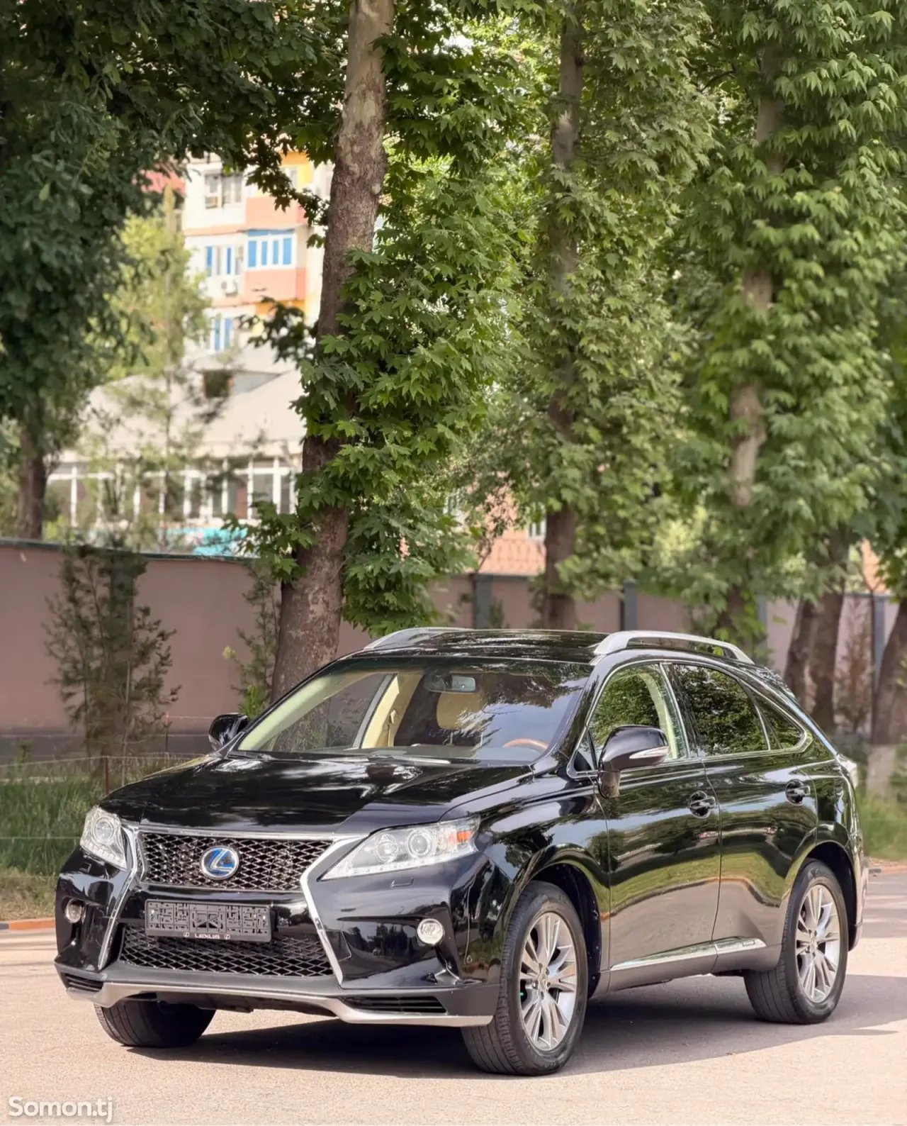 Lexus RX series 2013 · 4.5 AT