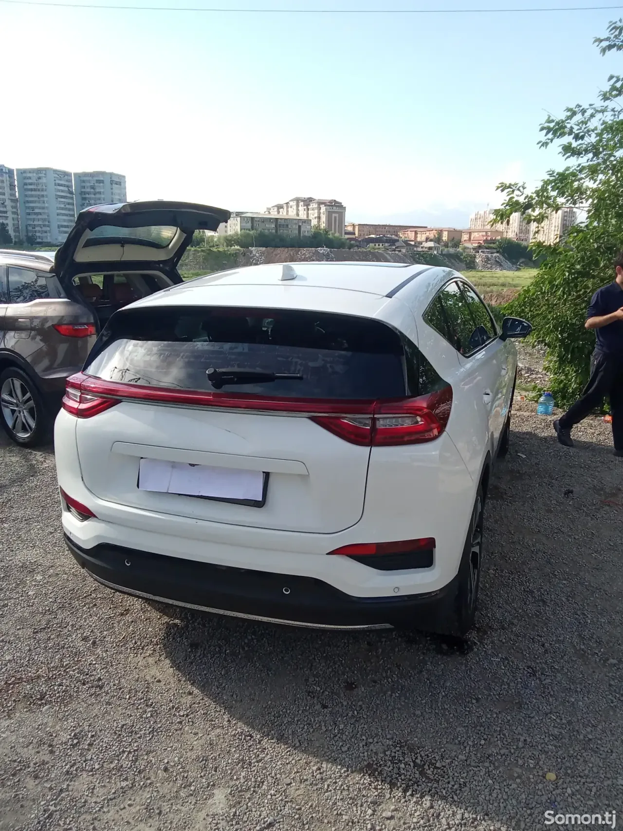 Hongqi E-HS9 2020 · 3.5 AMT