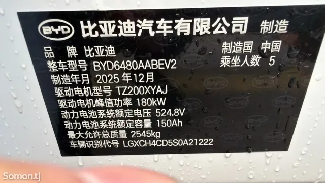 BYD Sea Lion 06 2025 · AMT