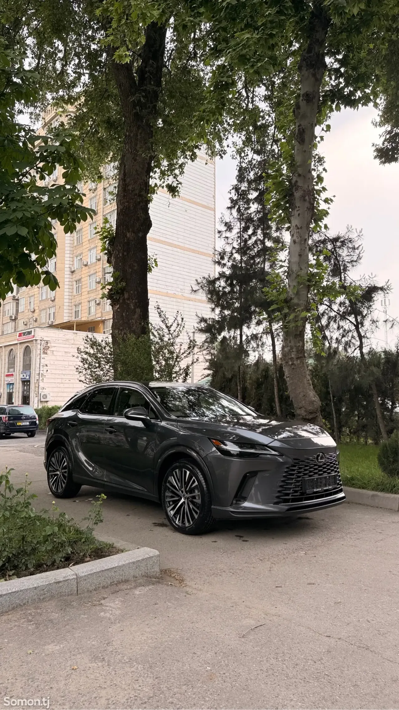 Lexus RX series 2025 · 3.5 AT