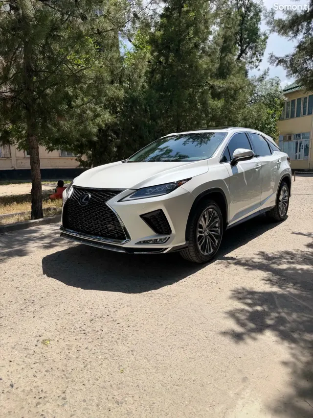 Lexus RX series 2019 · 4.5 AT