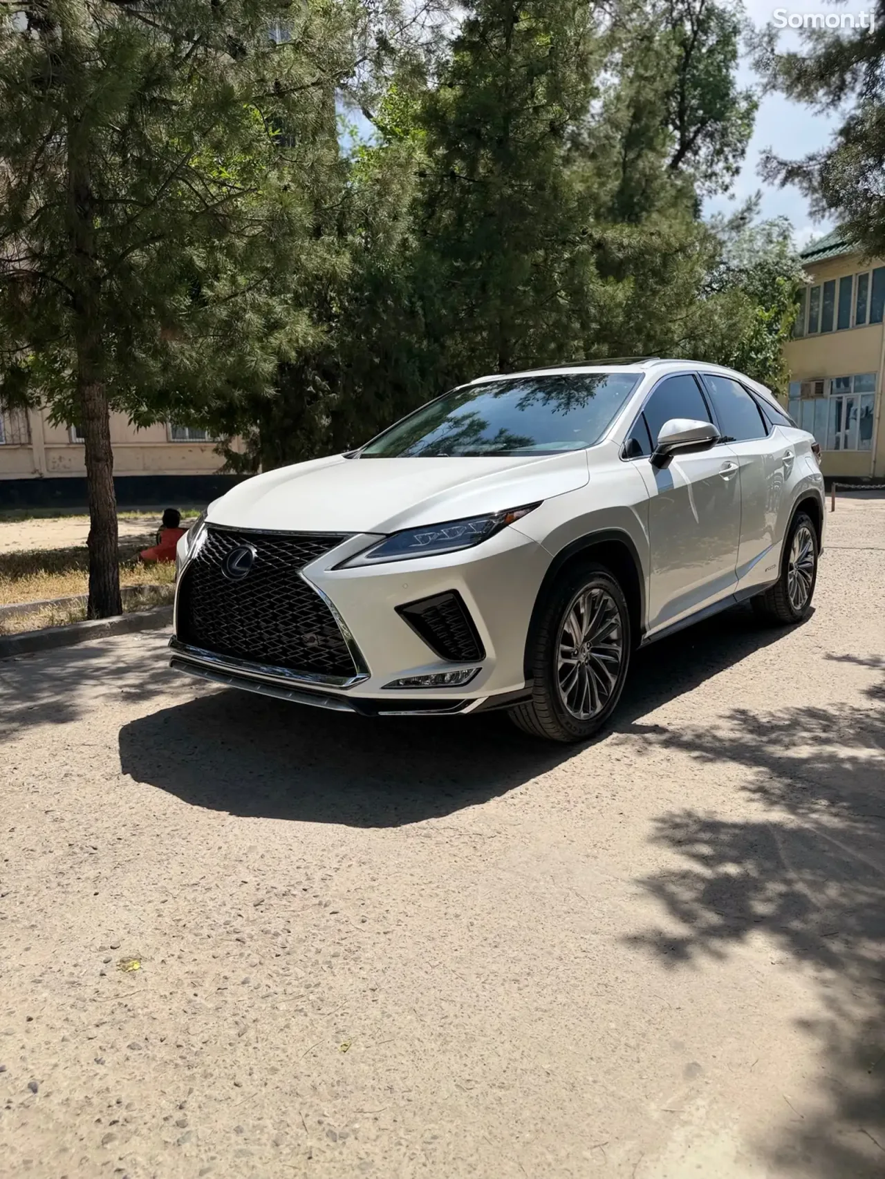 Lexus RX series 2019 · 4.5 AT