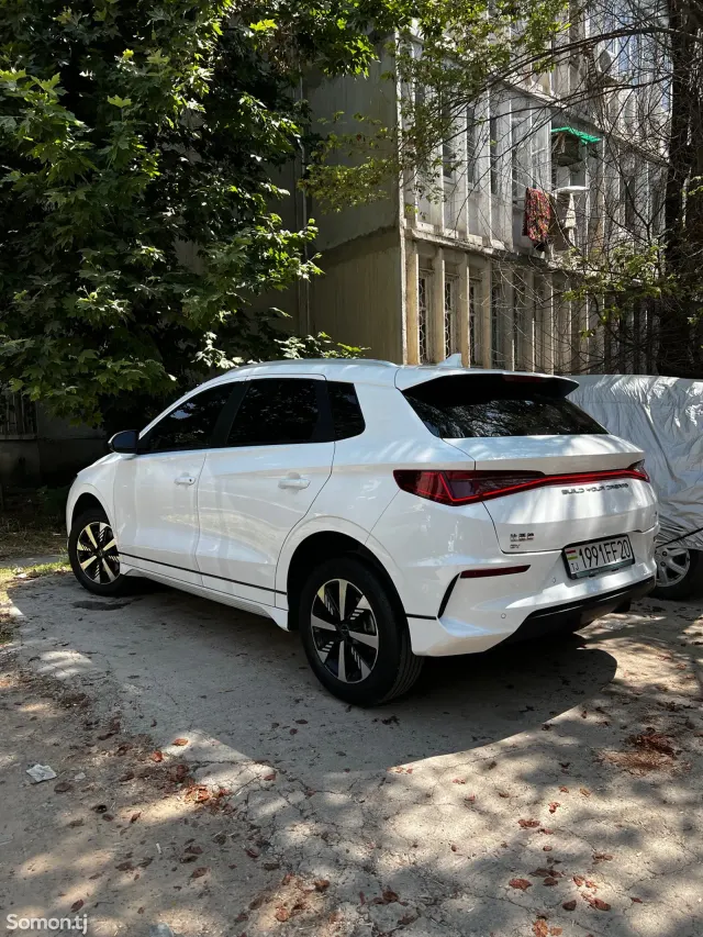 BYD E2 2024 · 6.3 AT