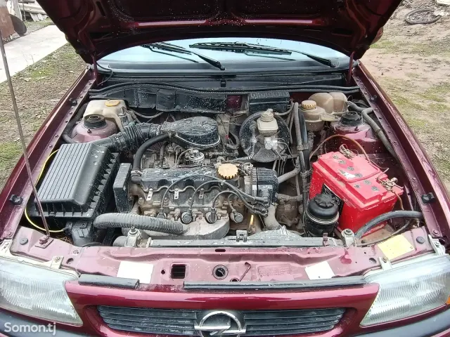 Opel Astra F 1996 · 1.6 MT