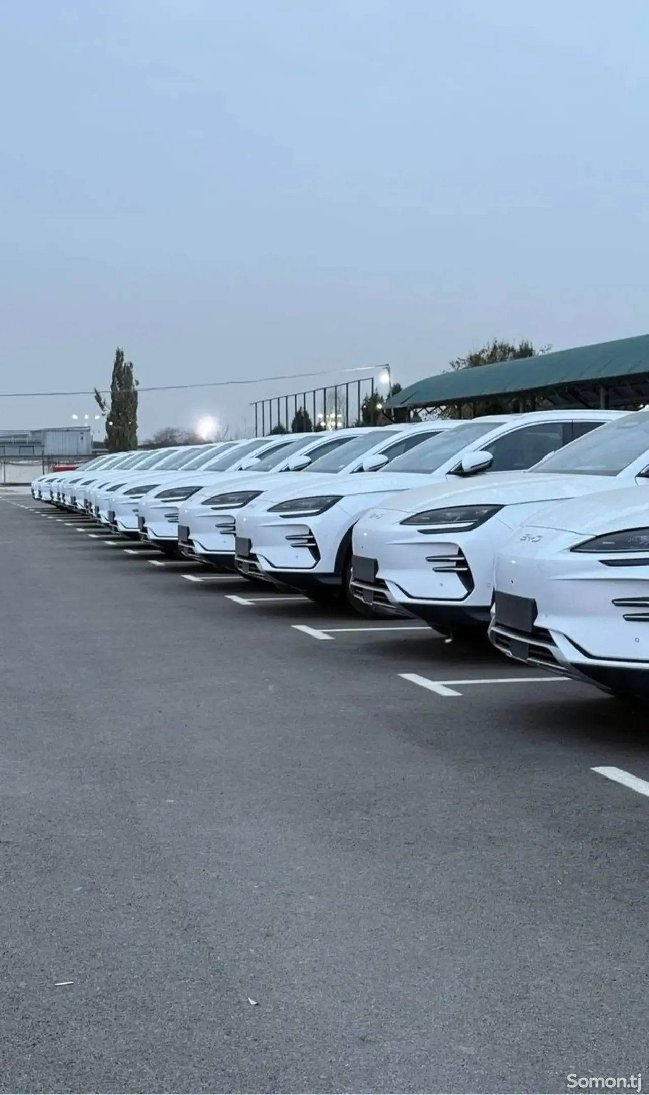 BYD Song Plus 2025 · AMT