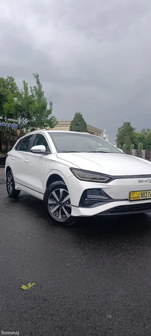 BYD E2 2025 · AMT
