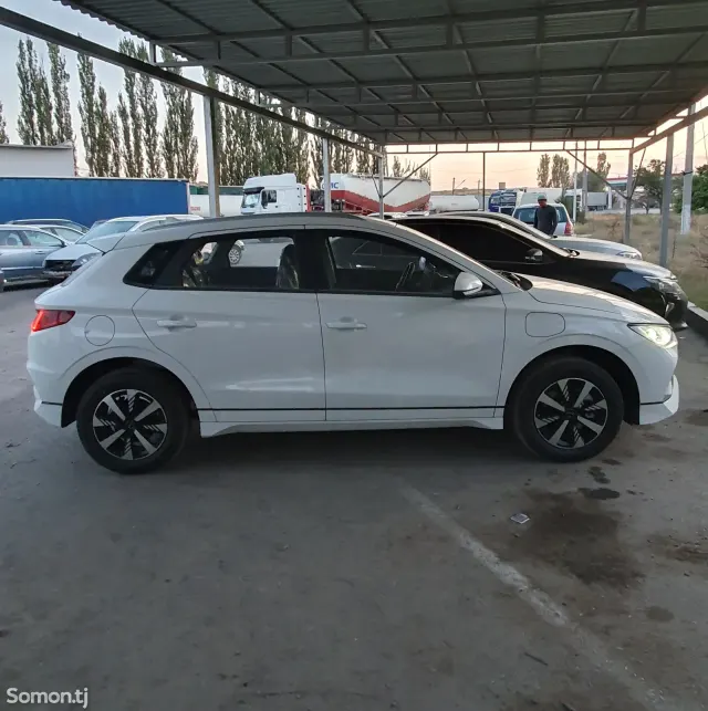 BYD E2 2025 · AMT