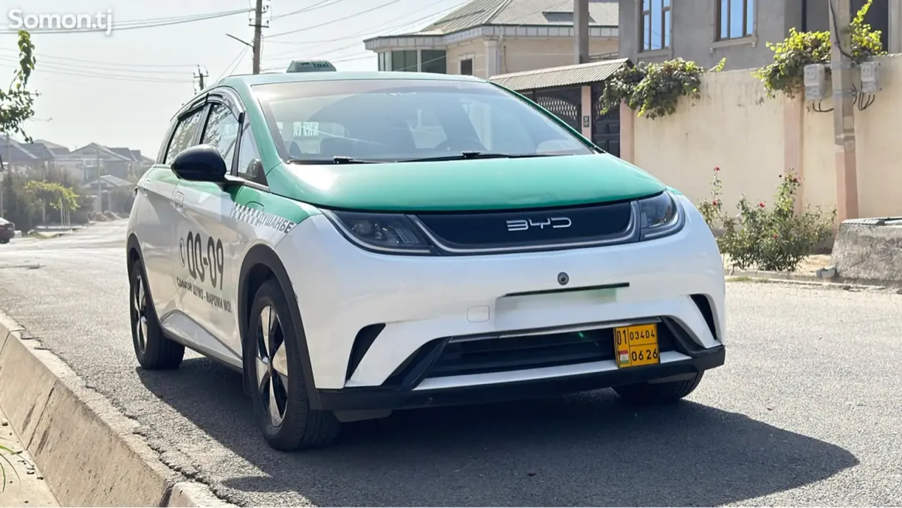 BYD Dolphin 2024 · AT