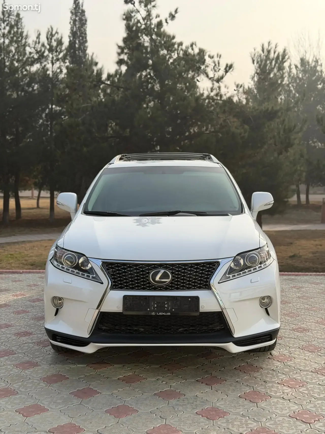 Lexus RX series 2013 · 3.5 AT
