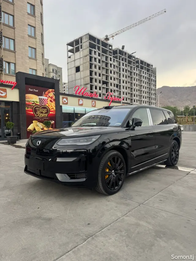 BYD Denza N9 2025 · AT