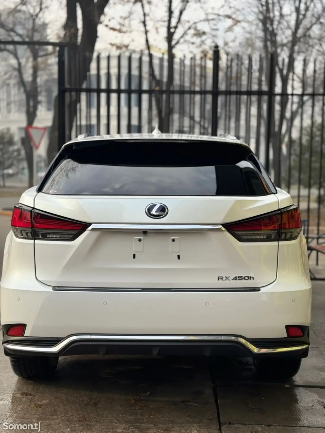 Lexus RX series 2021 · 4.5 AT