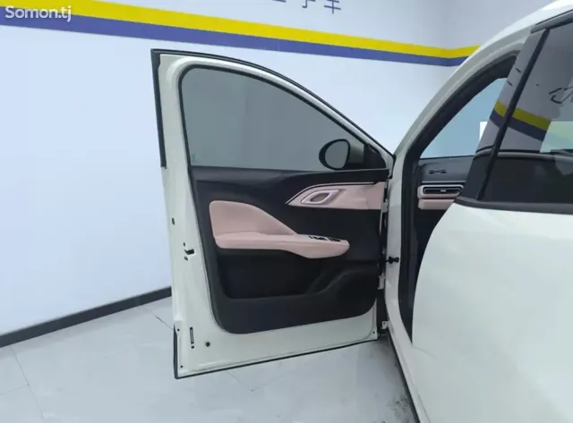 BYD Seagull 2024 · AT