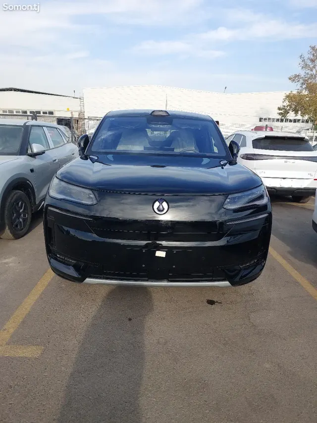 BYD Denza D9 2025 · 3.0 AMT