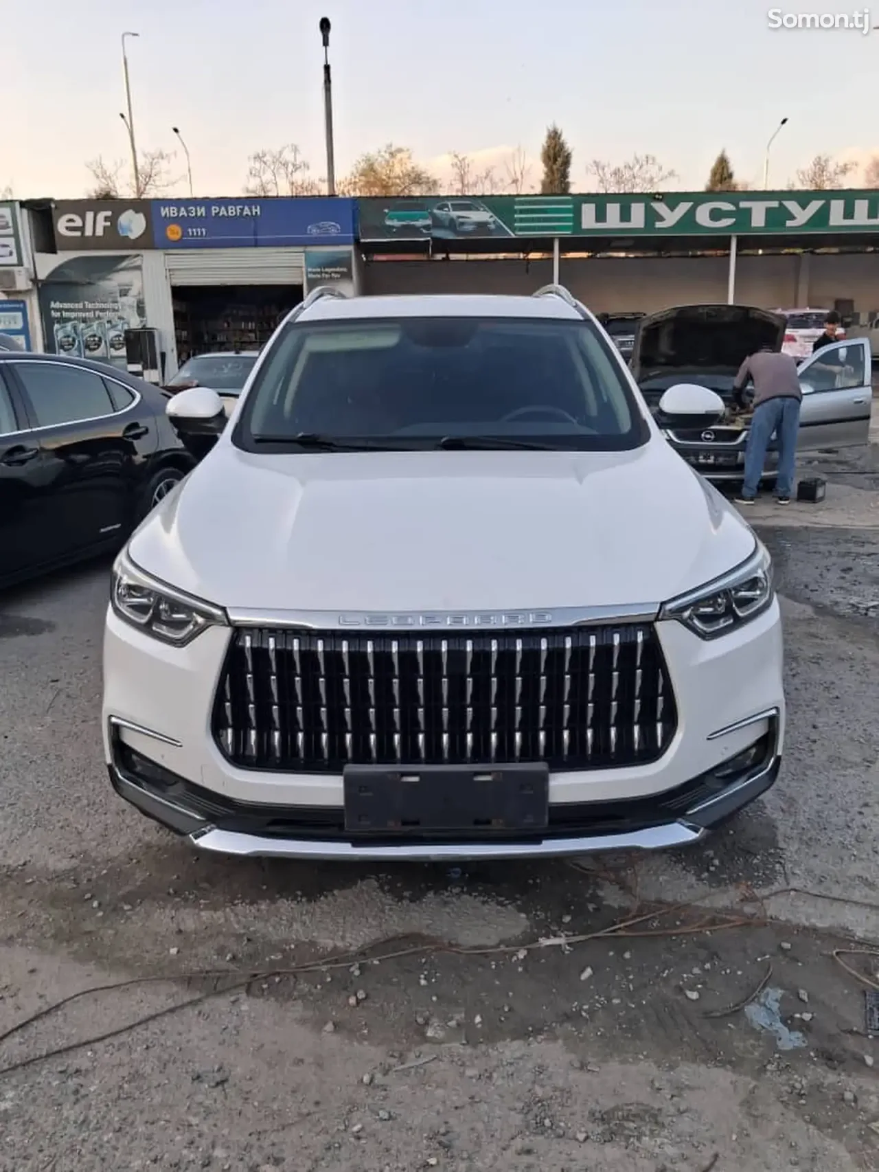 Leopaard Mattu 2018 · 1.6 AT