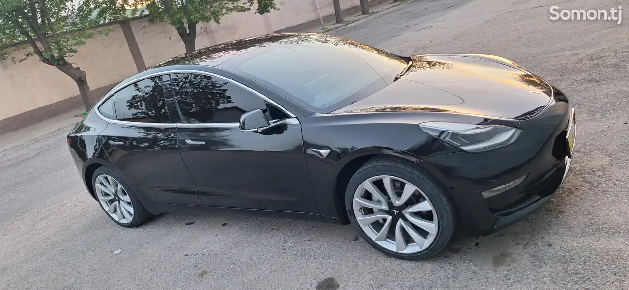 Tesla Model 3 2019 · 5.0 AT