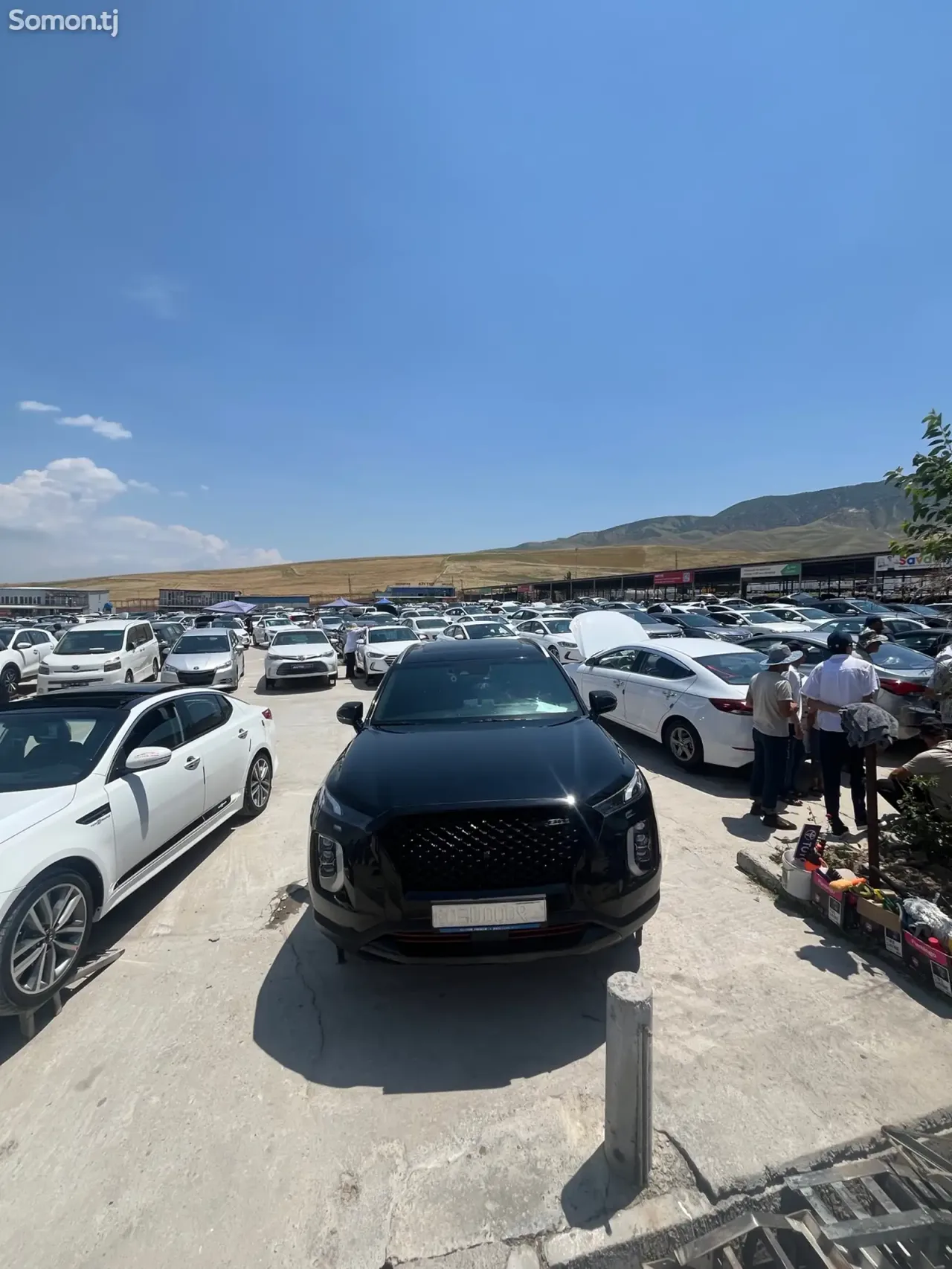Hyundai Palisade 2019 · 3.8 AT
