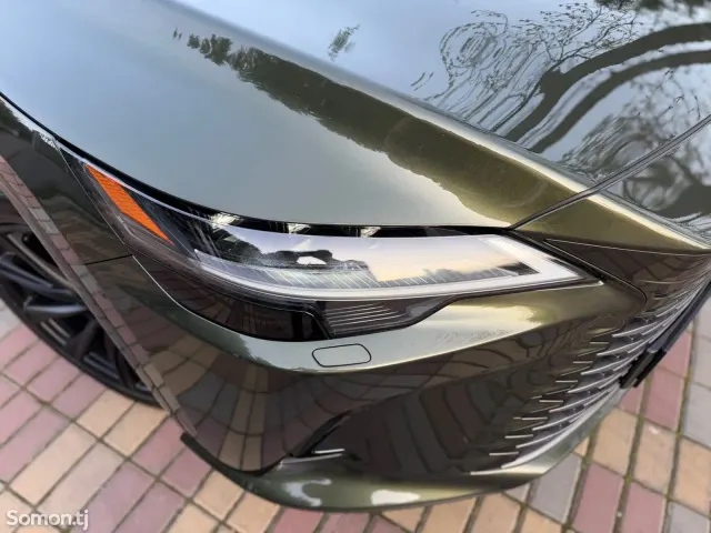Lexus RX series 2025 · 4.5 AT