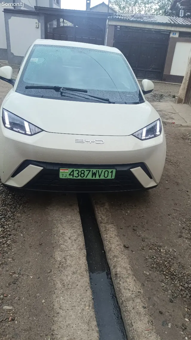 BYD Seagull 2024 · 1.8 AT