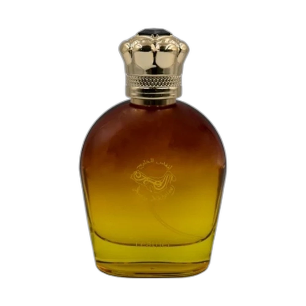 ANFAS ALKHALEEJ LEATHER edp 100ml TESTER