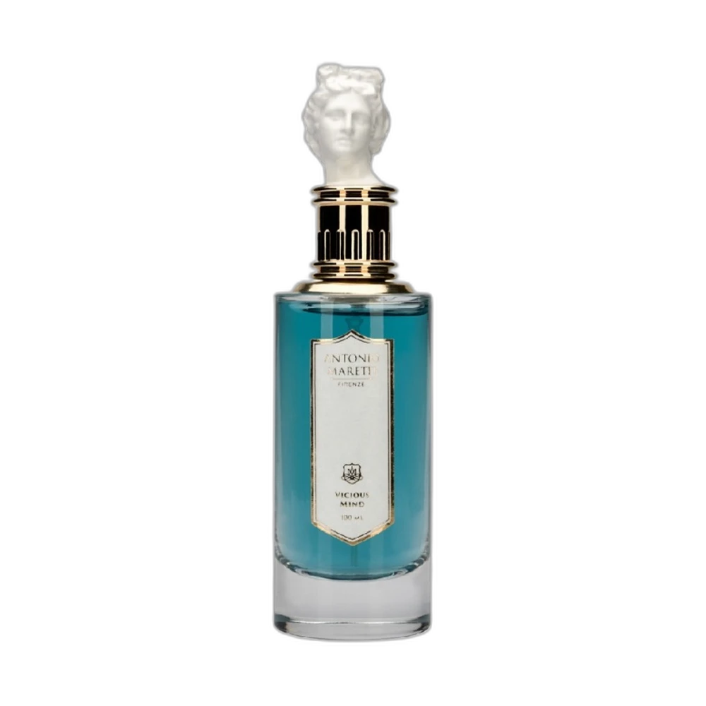 ANTONIO MARETTI VICIOUS MIND edp (m) 100ml TESTER