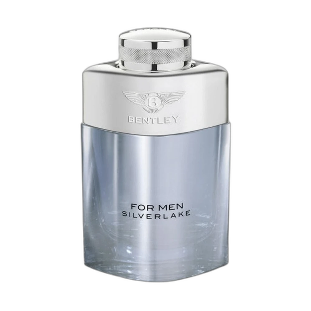BENTLEY FOR MEN SILVERLAKE edp (m) 100ml TESTER