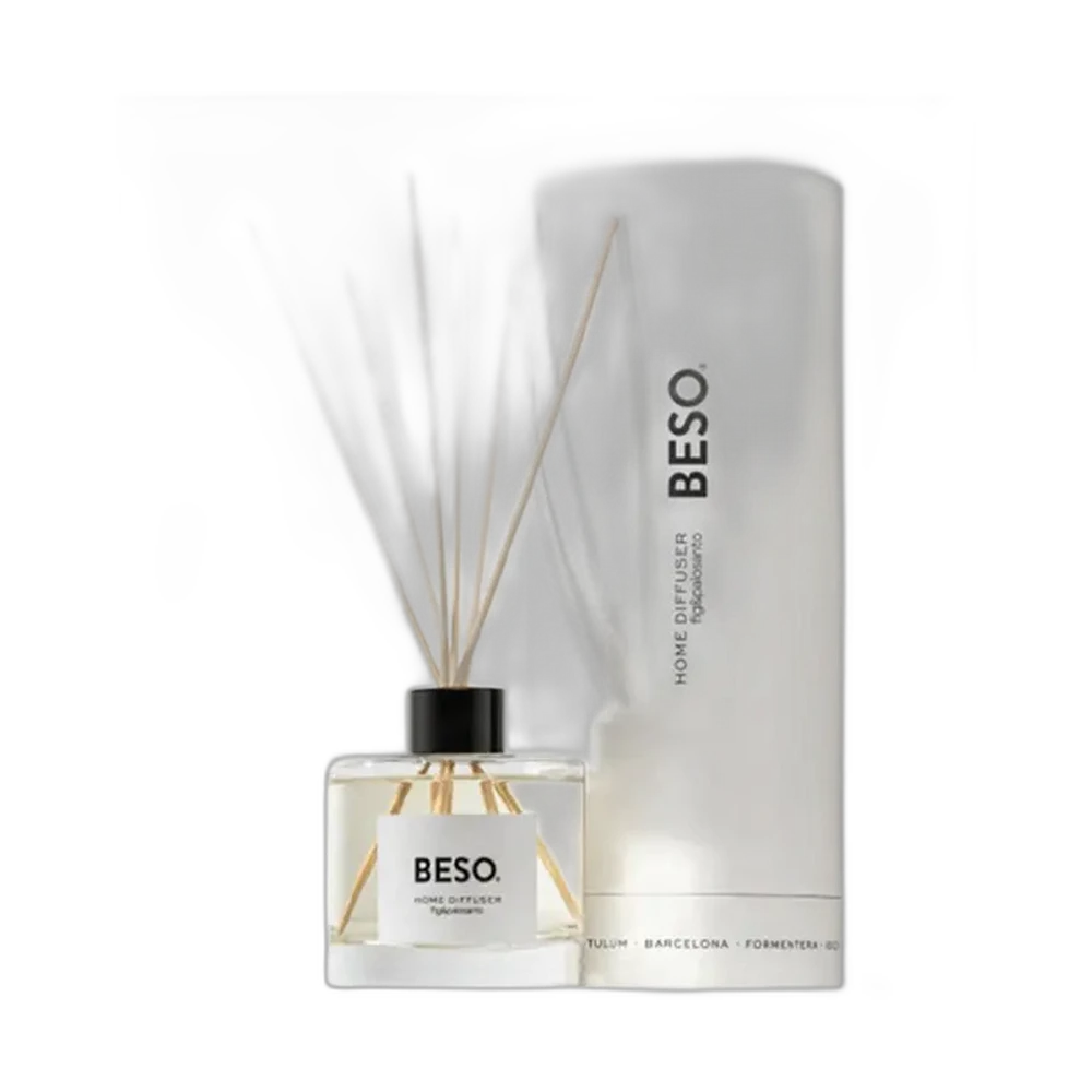 BESO BEACH BESO MIKADO 200ml diffuser