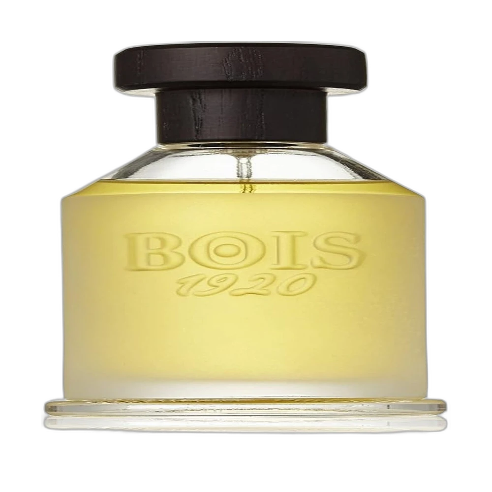 BOIS 1920 VETIVER AMBRATO 100ml тестер