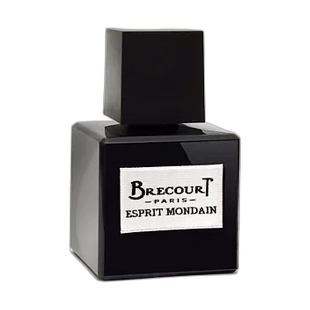 BRECOURT ESPRIT MONDAIN edp (m) 100ml TESTER