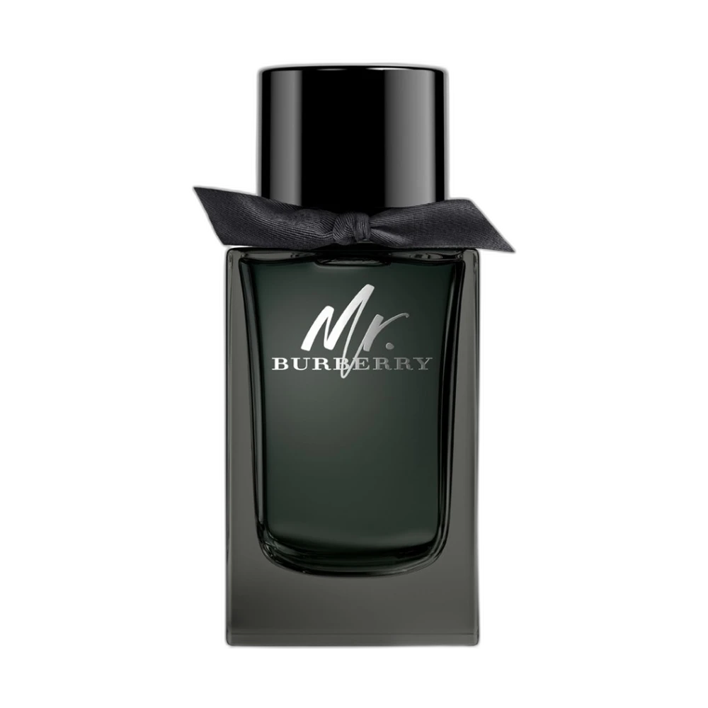 BURBERRY MR. BURBERRY edp (m) 100ml TESTER
